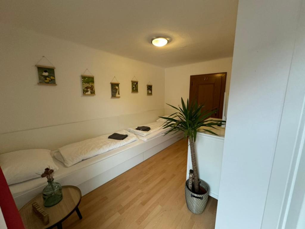 Go For Mountains Appartements Eben Im Pongau Eksteriør bilde
